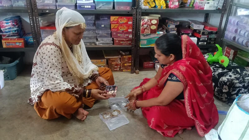 समूह की ताकत और आजीविका मिशन के साथ से बदली साधना की आर्थिक तस्वीर