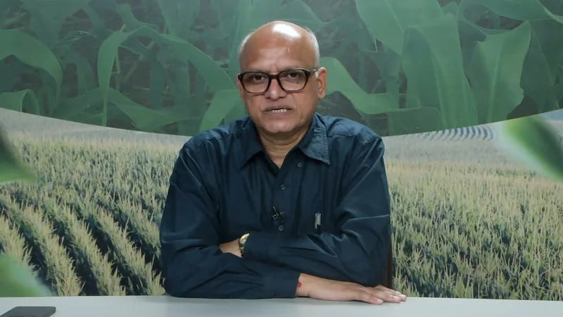 MINISTRY ADVISORY BY नवीन कुमार पाटले: ज़्यादा मूल्य और ज़्यादा पैदावार वाली फ़सलें